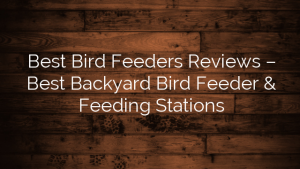 Best Bird Feeders Reviews – Best Backyard Bird Feeder & Feeding Stations