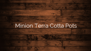 Minion Terra Cotta Pots